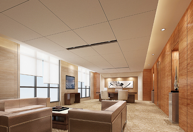 上海辦公室裝修設(shè)計(jì)：平安樹挑選全攻略，打造綠色辦公新體驗(yàn)！